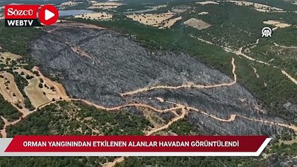 Orman yangınından etkilenen alanlar havadan görüntülendi