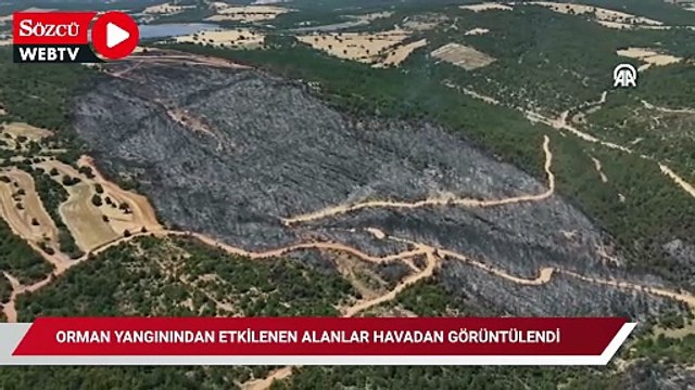 Orman yangınından etkilenen alanlar havadan görüntülendi