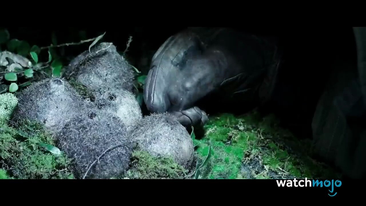 Alien Universe Timeline Explained: From Prometheus to Alien Resurrection