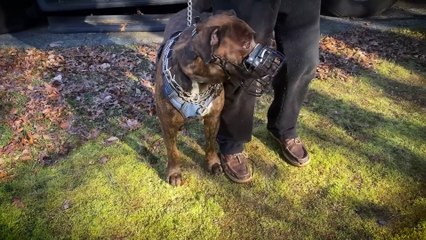 5 True Reddit Stories That Leave You Unsettled