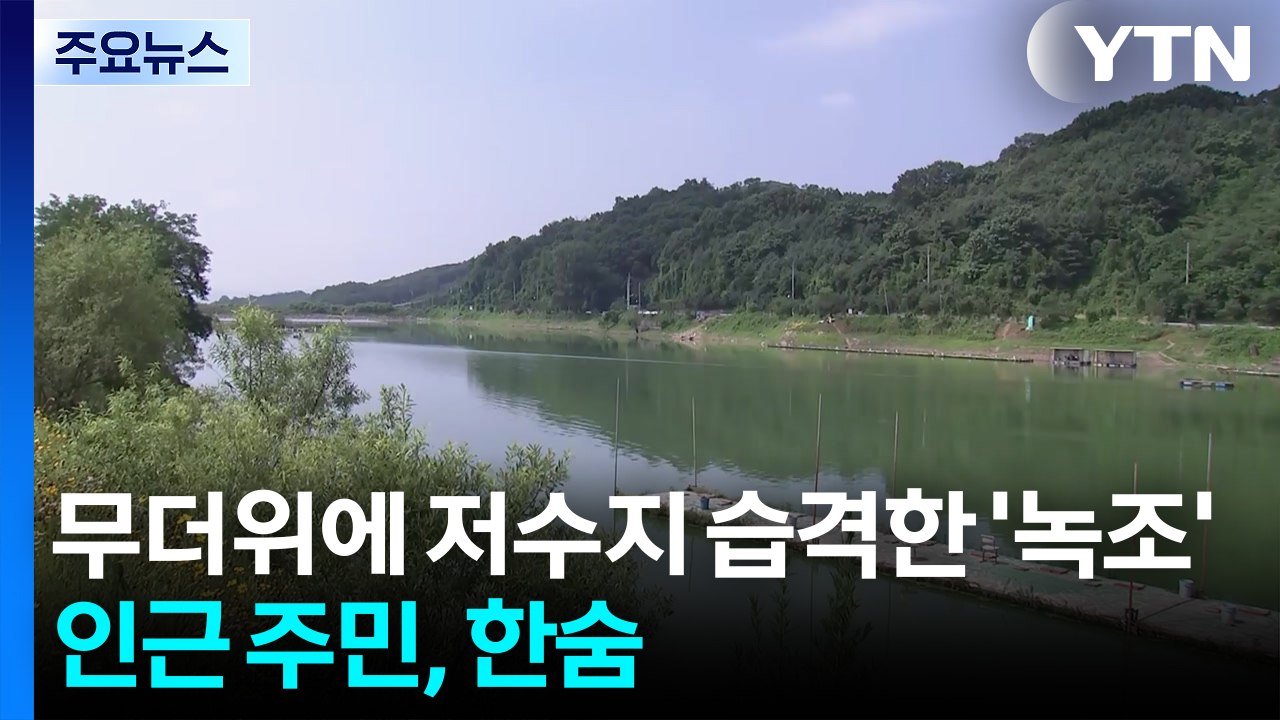 무더위에 저수지 습격한 '녹조'...인근 주민, 한숨 / YTN