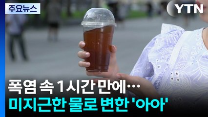 [날씨] 미지근한 물로 변한 '아아'...서울 현재 35.9℃ / YTN