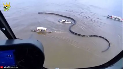 1 in a Billion Sports Moments You’ll Never Forget!