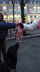 L'association Gamelles Pleines