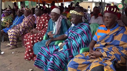 Région- Dimbokro / JNA 2025 : Des hectares d’arbres plantés ‘’pour la paix’’ à Nofou (Dimbokro)