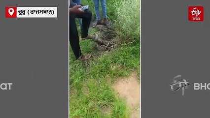 ਭਾਰਤੀ ਹਵਾਈ ਸੈਨਾ ਦਾ ਇੱਕ ਜੈਗੁਆਰ ਲੜਾਕੂ ਜਹਾਜ਼ ਹਾਦਸਾਗ੍ਰਸਤ, ਮਲਬੇ ਵਿੱਚੋਂ ਮਿਲੀ ਇੱਕ ਲਾਸ਼