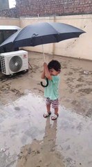 Baby is walking in raining with an umbrella