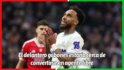 ¡Aubameyang listo para ser agente libre tras dejar el Al-Qadsiah! ⚽