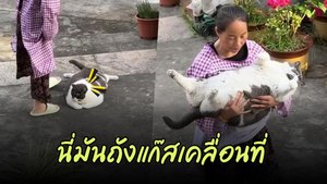 ใครมาวางถังแก๊สไว้ตรงนี้ ขวางทางเดินไม่เป็นที่เป็นทางต้องมาขยับอีกล่ะ