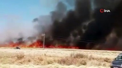 800 dekar ekili alan kül oldu!