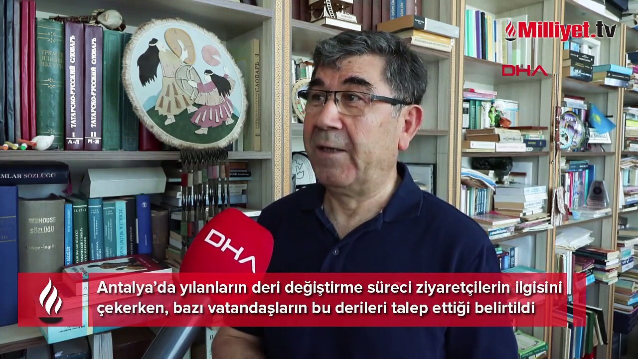 Antalya'da ilginç talep! Yılan derisi isteyenler parkın kapısını aşındırdı: Derisi toz haline getirilip…