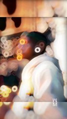 Life Motivation - Financial Education | Motivation & Money Video🔥