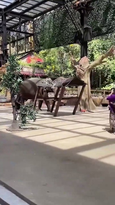 Elephant attack on Man #elephant #attack #animals #animalsonstreet