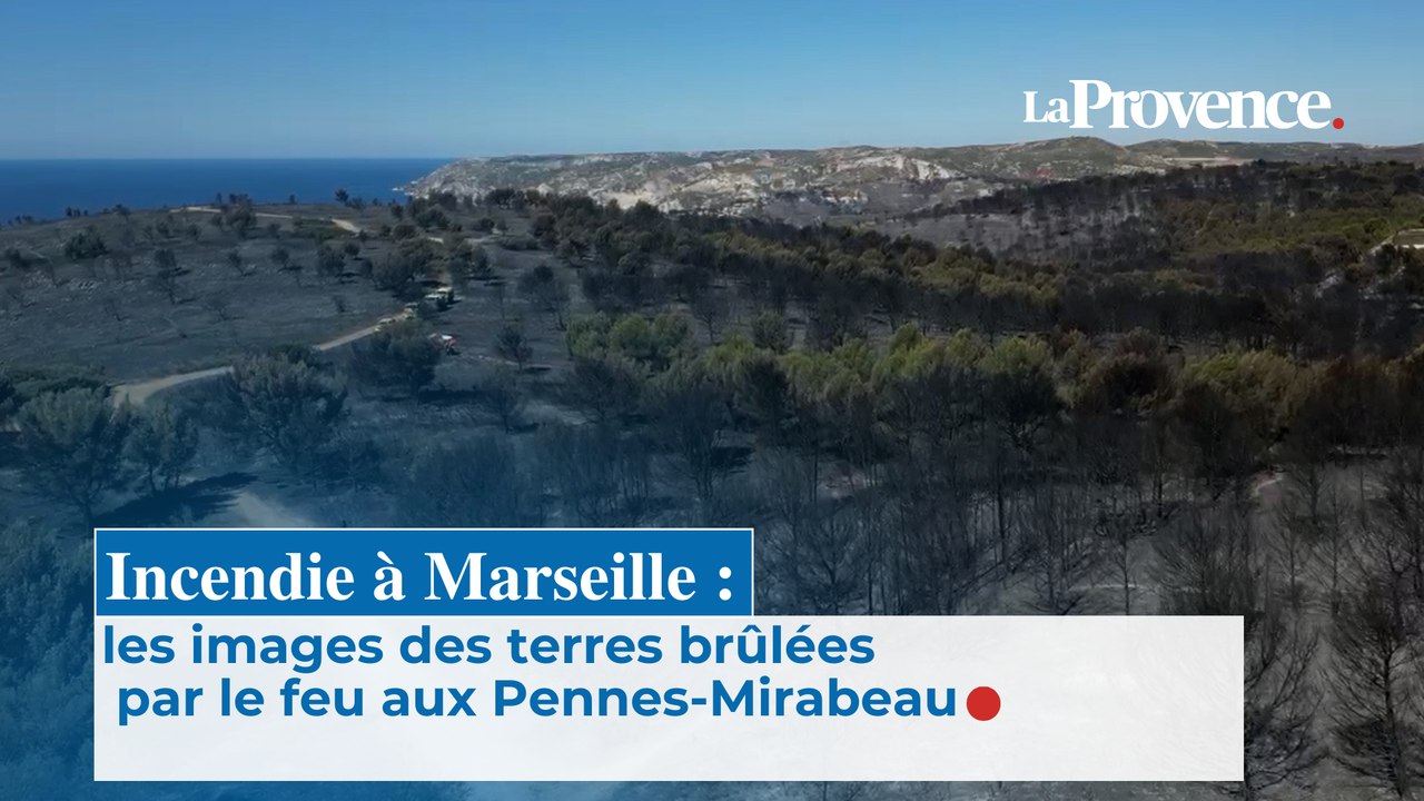 Incendie à Marseille : les images des terres brûlées par le feu aux Pennes-Mirabeau