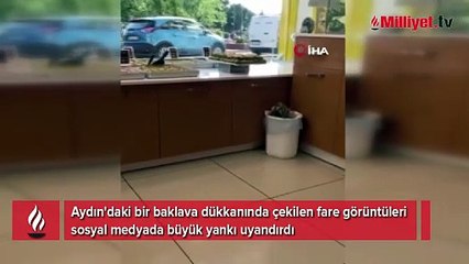 Baklavacıda mide bulandıran görüntü