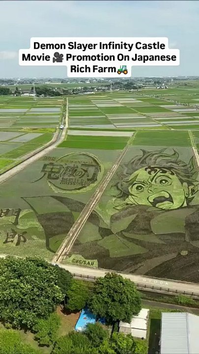 Massive rice paddy artwork in Gyoda, Japan, depicting Tanjiro from 'Demon Slayer- Kimetsu no Yai