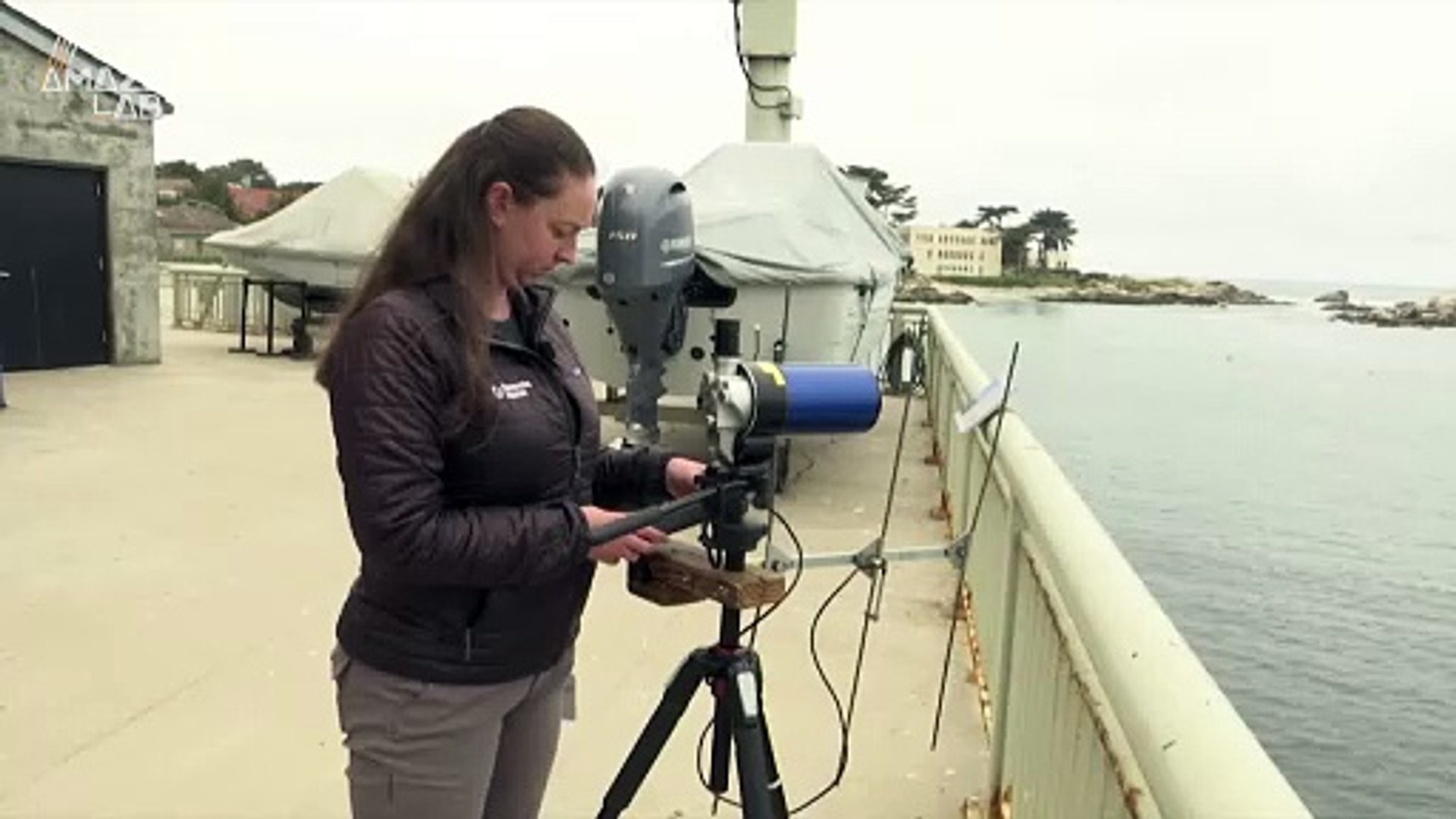 ⁣This is Why Sea Otters Are Vital to the Underwater Ecosystem