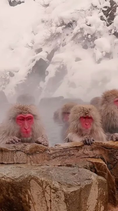 Places In JAPAN That Don’t Feel Real!