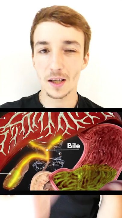 Digestion
