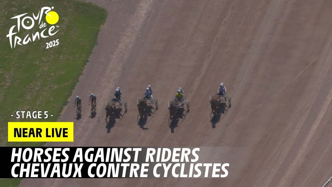 Stage 5 - Horses angainst Riders