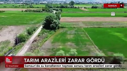 Samsun’da su kanallarının taşması sonucu tarım arazileri zarar gördü
