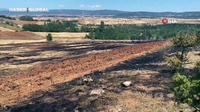 Tarlada çıkan yangın ormana sıçradı: 6 dekar alan zarar gördü