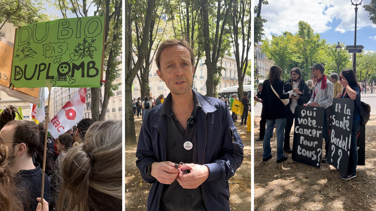 Loi Duplomb : cet éleveur défend sa vision d'une agriculture sans pesticides