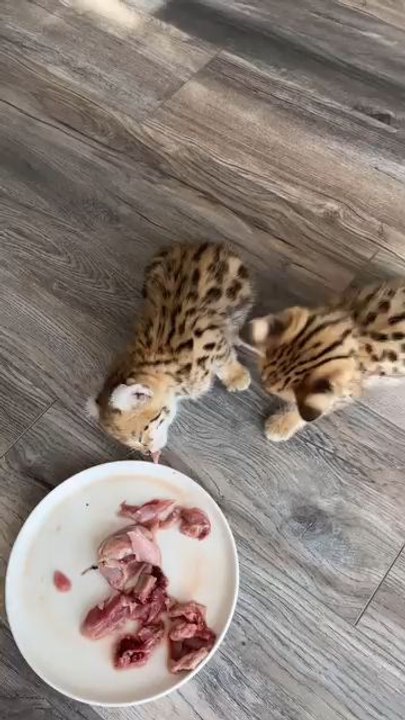 cute 🥰