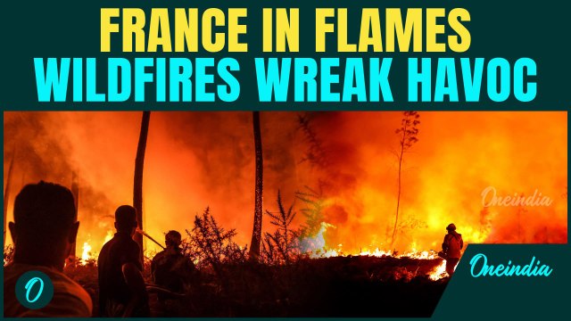 VIDEO: APOCALYPTIC Scenes in France | Wildfires force MASS EVACUATIONS in Marseille | 100+ Injured