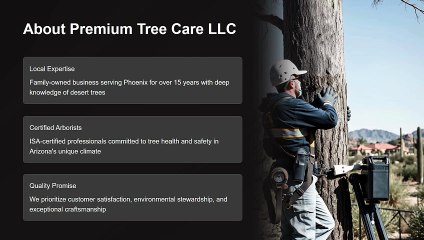 Tree Service in Phoenix AZ | Expert Care & Removal