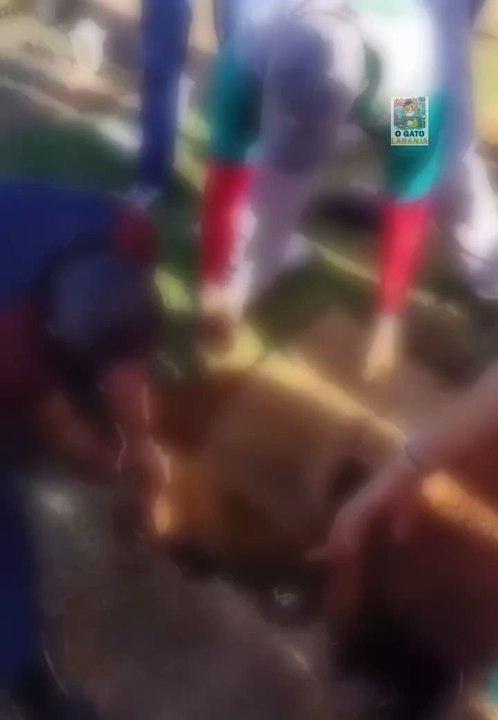 Homem cai em cova durante velório em Brasília