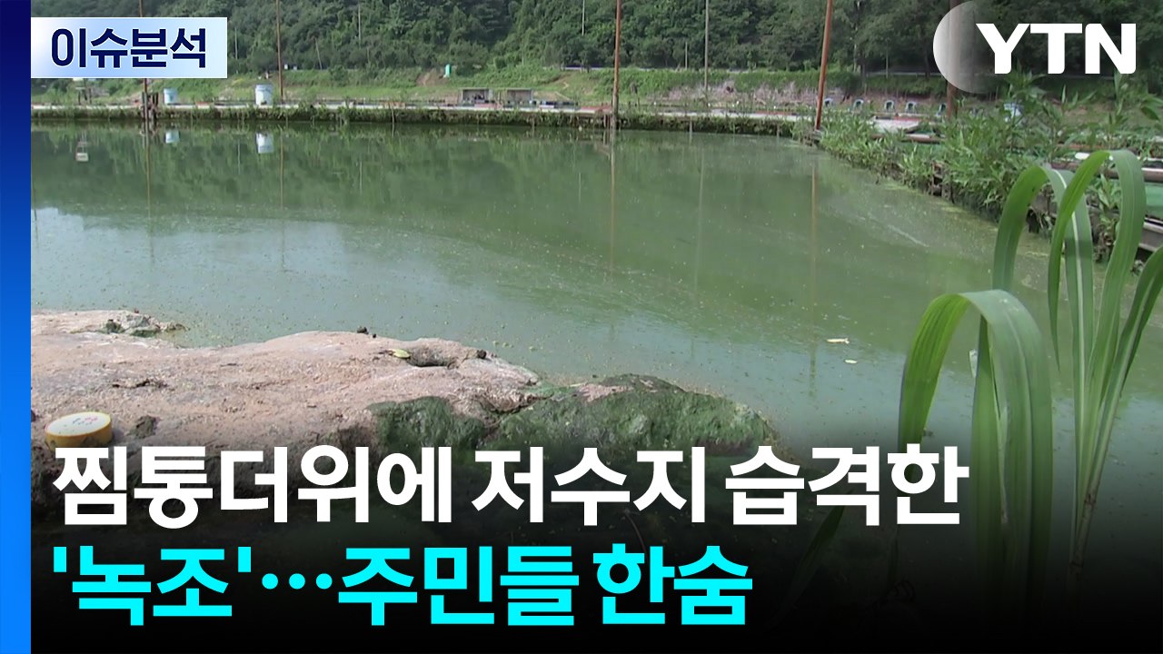 찜통더위에 저수지 습격한 '녹조'...주민들 한숨 / YTN