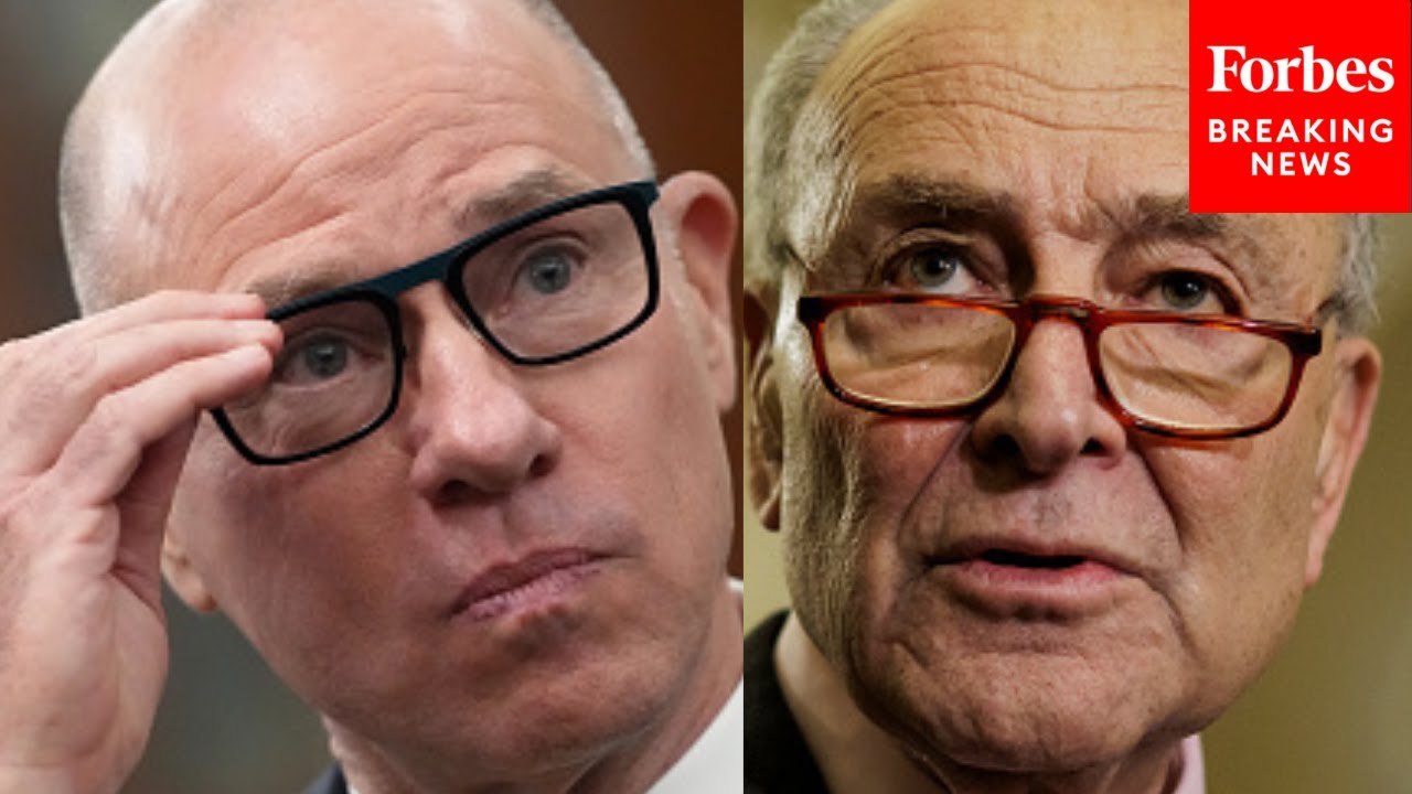 Chuck Schumer Slams Trump's FAA Administrator Nominee, Warns He Will Put 'Profits Over Passenger Safety'