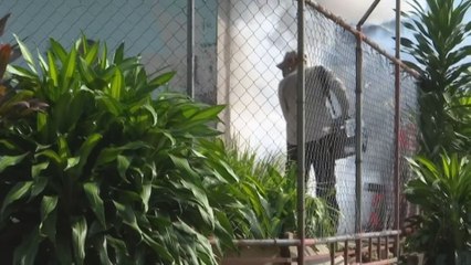 Aumento de casos de dengue preocupa a las autoridades