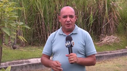 Fatalidade em Jupi: Funcionário público falece após colisão com cachorro na PE 158 sem capacete