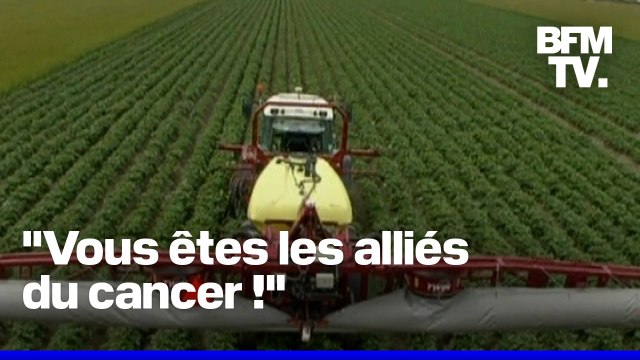 Pourquoi la loi Duplomb sur l’agriculture votée à l’Assemblée est-elle controversée?