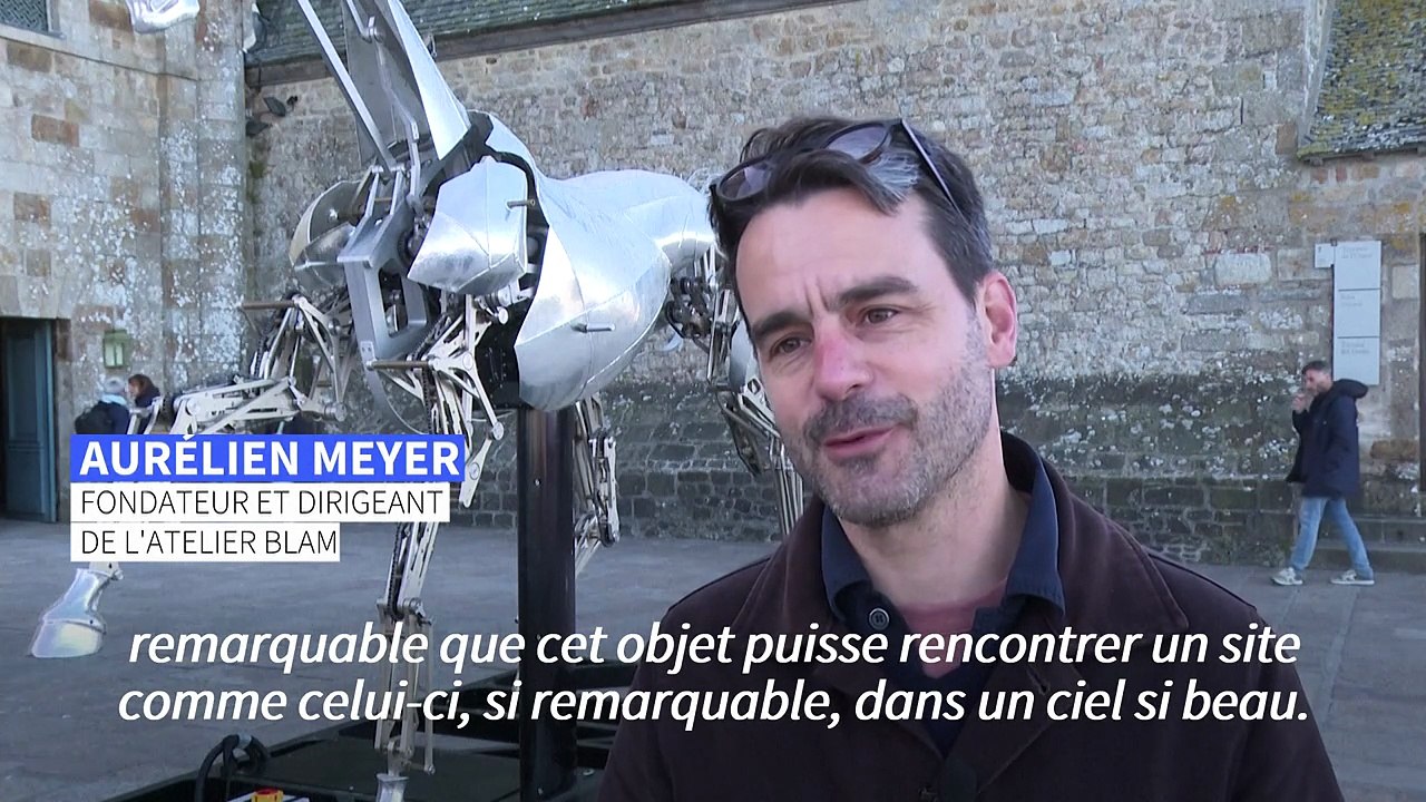 Zeus, le cheval des JO-2024, arrive au Mont-Saint-Michel