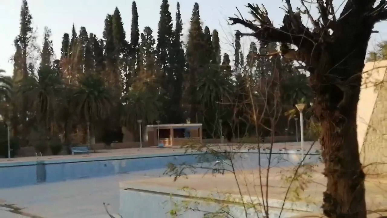 VID_20241129_165042