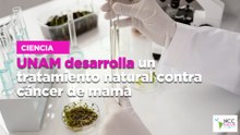 UNAM desarrolla un tratamiento natural contra cáncer de mama