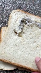 MORTIFYING BREAD DISCOVERY: Urgent Warning on Food Quality & Hygiene in Pakistan! DawnBread Pakistan