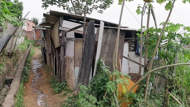 Catador de Recicláveis Brutalmente Atacado a Caminho de Casa: Tráfico de Drogas Suspeito no Crime em Recife