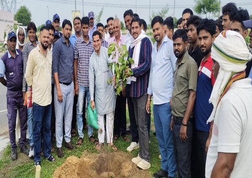 दिल्ली-मुंबई सुपर एक्सप्रेस-वे के पिनान रेस्ट एरिया में किया पौधरोपण