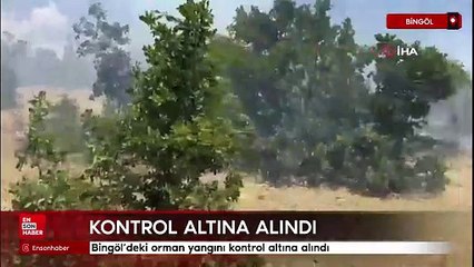 Bingöl’deki orman yangını kontrol altına alındı