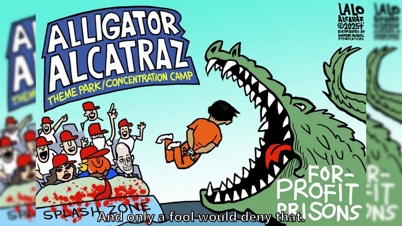 Free Plane Ride Home or Alligator Alcatraz | Liberals "Think" (07/09/25)