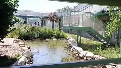 Así es el nuevo Centro de Biodiversidad de Burgos