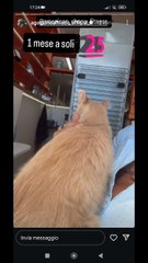 agozzinoalfredo Gold il boss della palestra