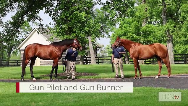 Origin Stories: Raising Good Horses at Three Chimneys