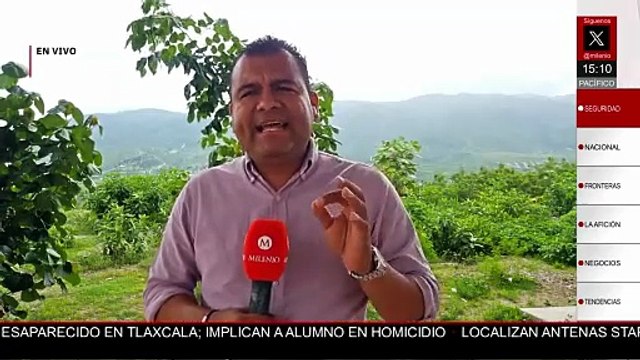 Sedena destruye 330 armas decomisadas al crimen organizado en Chilpancingo