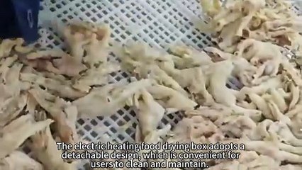 The electric heating food drying box