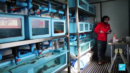 Chile enfrenta su primer invierno en la Antártida con temperaturas de hasta -30 °C